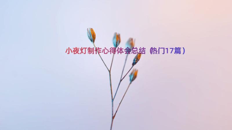 小夜灯制作心得体会总结（热门17篇）