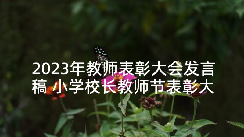 2023年教师表彰大会发言稿 小学校长教师节表彰大会发言稿(模板8篇)