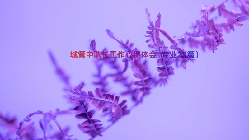 城管中队长工作心得体会（专业22篇）