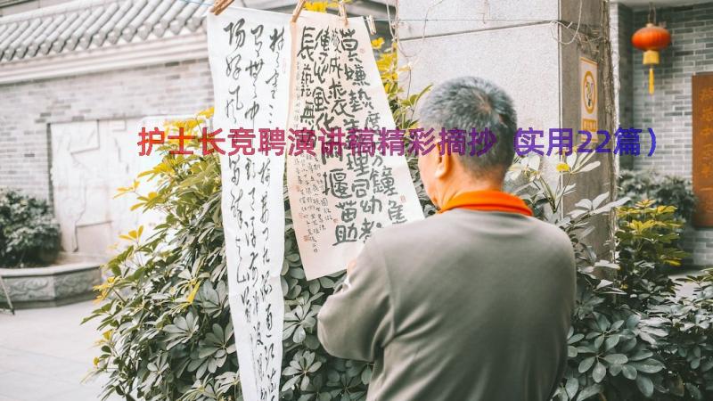 护士长竞聘演讲稿精彩摘抄（实用22篇）