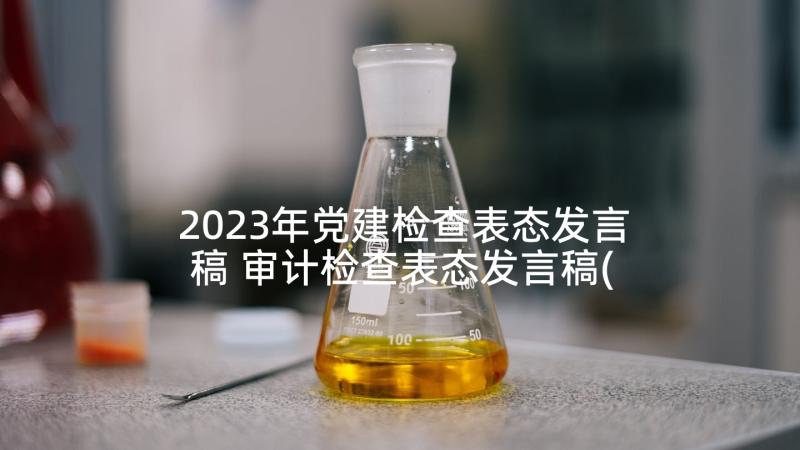 2023年党建检查表态发言稿 审计检查表态发言稿(模板5篇)