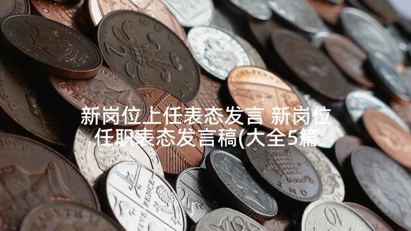 新岗位上任表态发言 新岗位任职表态发言稿(大全5篇)