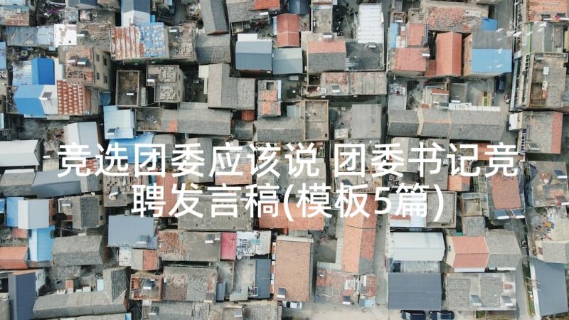 竞选团委应该说 团委书记竞聘发言稿(模板5篇)