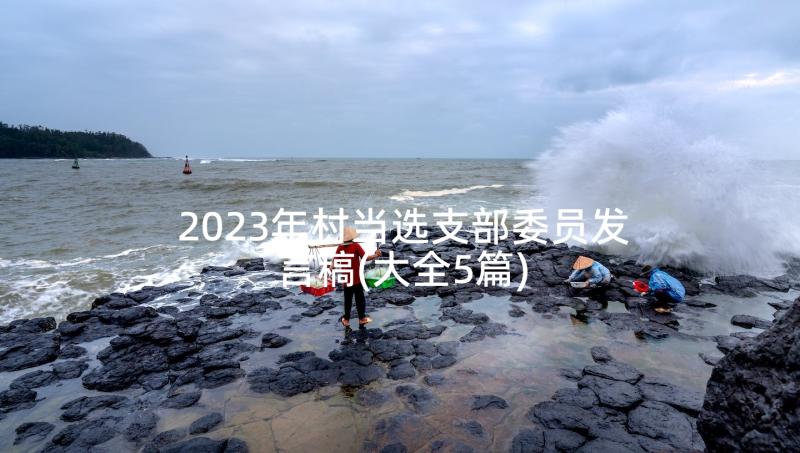 2023年村当选支部委员发言稿(大全5篇)