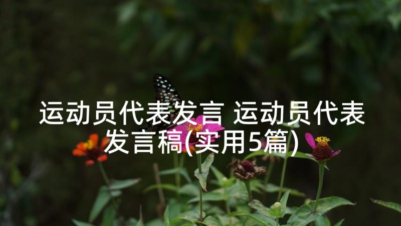 运动员代表发言 运动员代表发言稿(实用5篇)