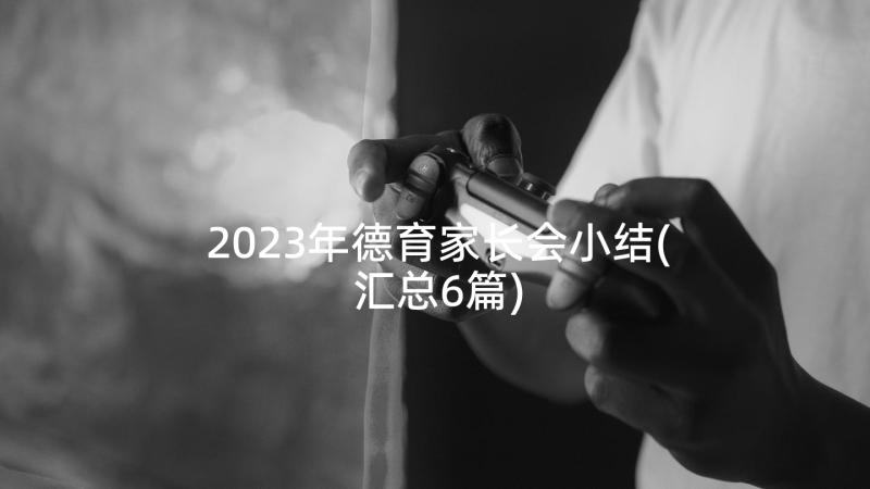 2023年德育家长会小结(汇总6篇)