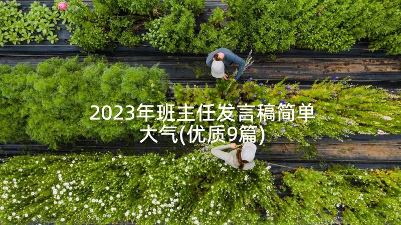 2023年班主任发言稿简单大气(优质9篇)