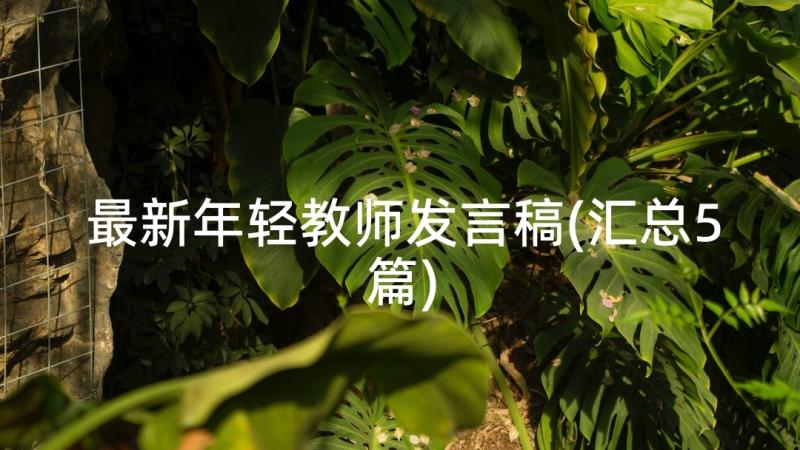 最新年轻教师发言稿(汇总5篇)