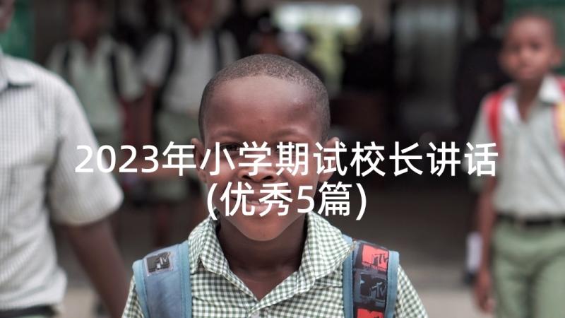 2023年小学期试校长讲话(优秀5篇)