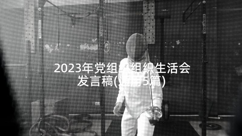 2023年党组织组织生活会发言稿(通用5篇)