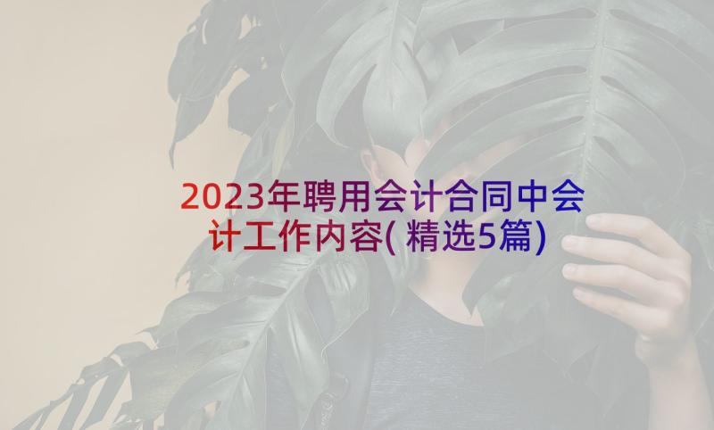 2023年聘用会计合同中会计工作内容(精选5篇)