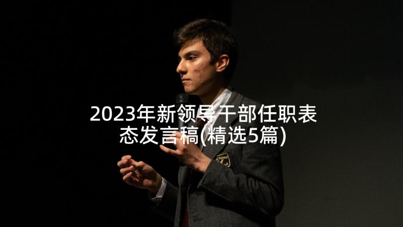 2023年新领导干部任职表态发言稿(精选5篇)