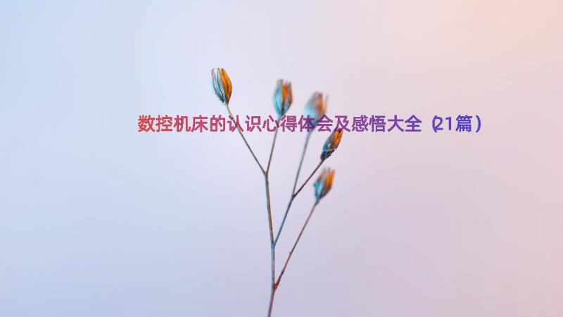 数控机床的认识心得体会及感悟大全（21篇）