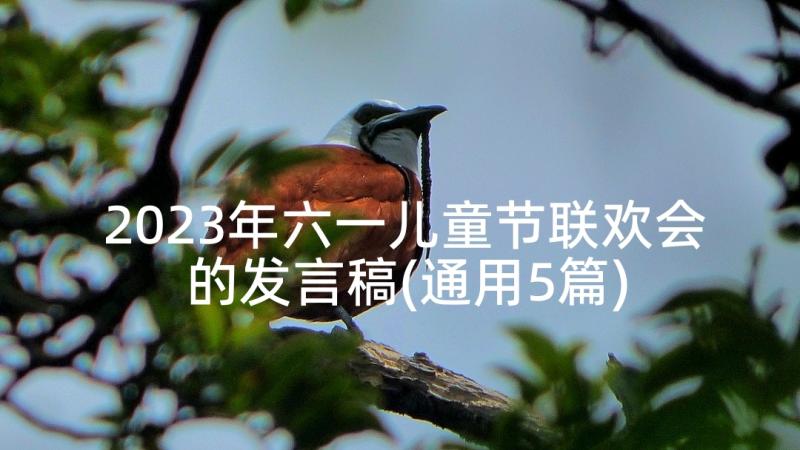 2023年六一儿童节联欢会的发言稿(通用5篇)