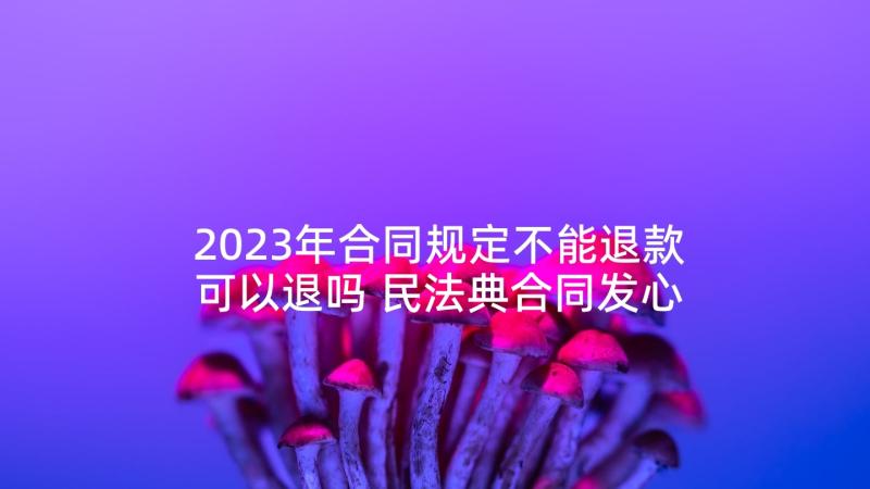 2023年合同规定不能退款可以退吗 民法典合同发心得体会(优秀7篇)