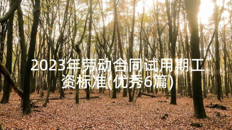 2023年劳动合同试用期工资标准(优秀6篇)