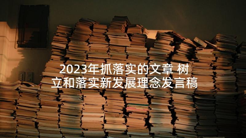 2023年抓落实的文章 树立和落实新发展理念发言稿(实用5篇)