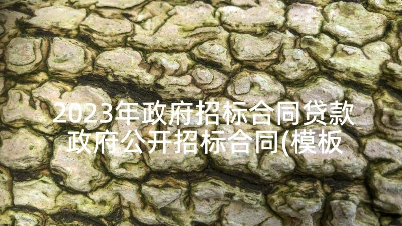 2023年政府招标合同贷款 政府公开招标合同(模板5篇)