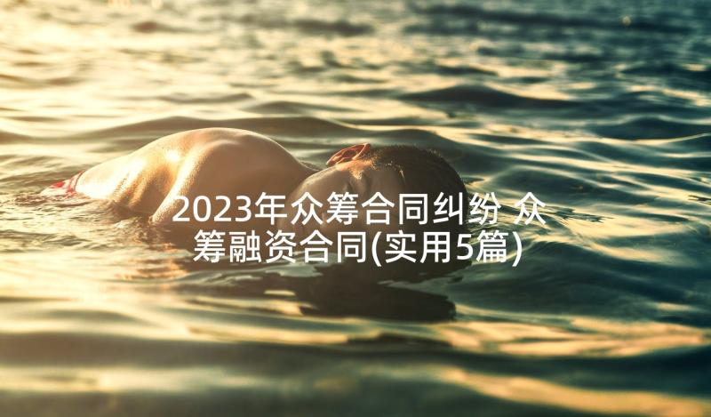 2023年众筹合同纠纷 众筹融资合同(实用5篇)