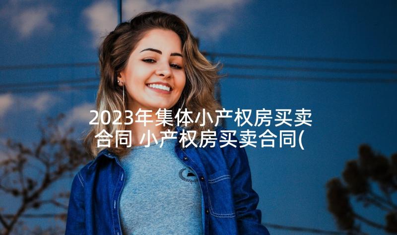 2023年集体小产权房买卖合同 小产权房买卖合同(大全8篇)