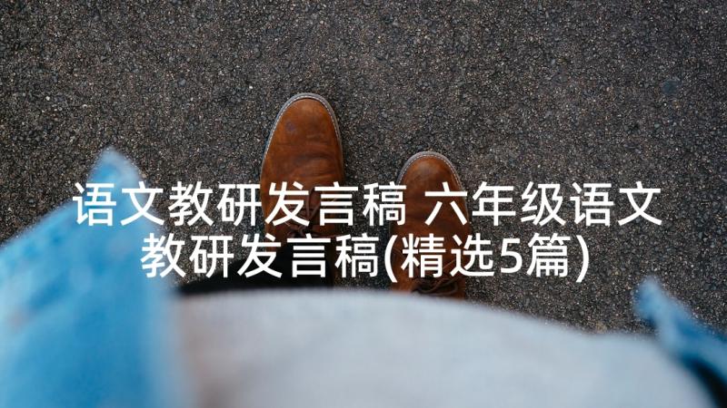 语文教研发言稿 六年级语文教研发言稿(精选5篇)