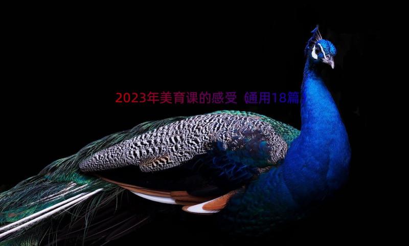 2023年美育课的感受（通用18篇）