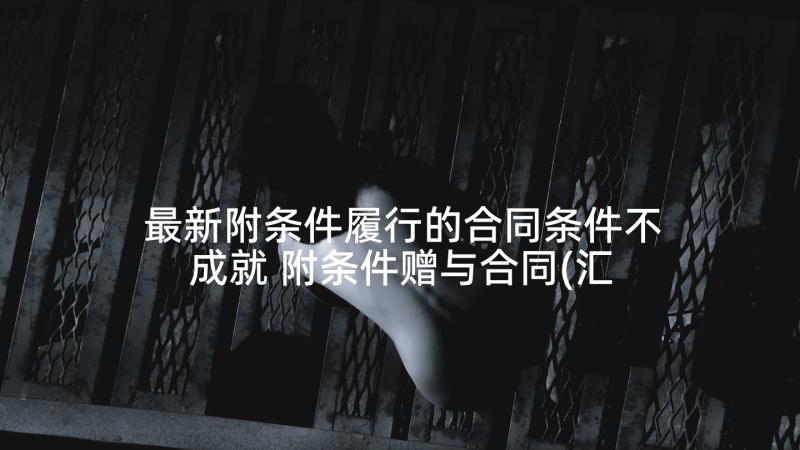 最新附条件履行的合同条件不成就 附条件赠与合同(汇总10篇)