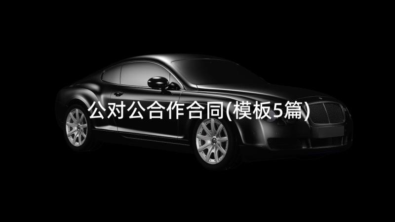 公对公合作合同(模板5篇)