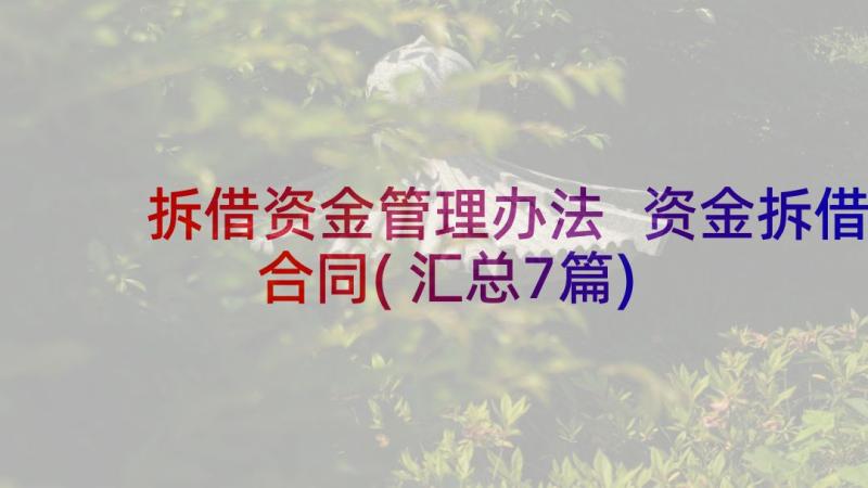 拆借资金管理办法 资金拆借合同(汇总7篇)