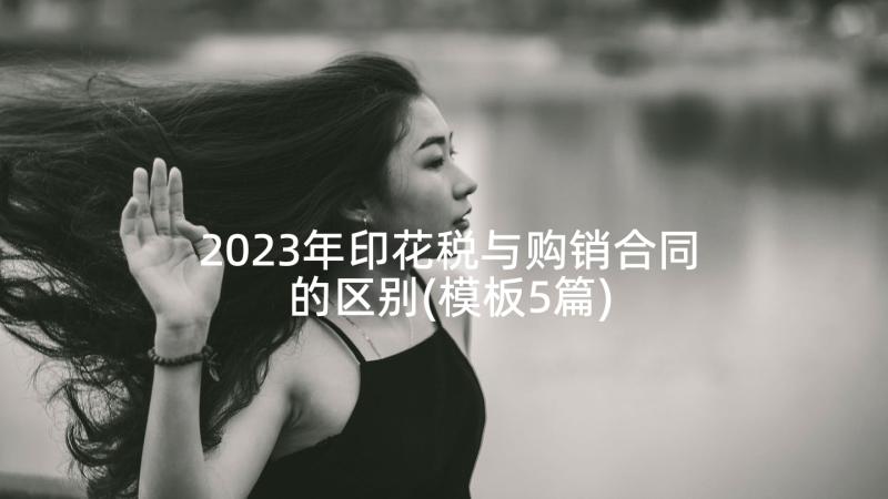 2023年印花税与购销合同的区别(模板5篇)