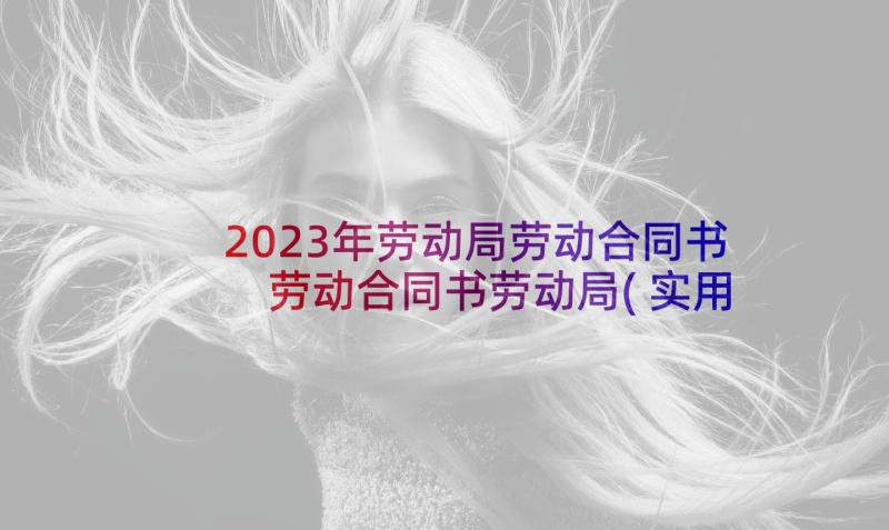 2023年劳动局劳动合同书 劳动合同书劳动局(实用5篇)