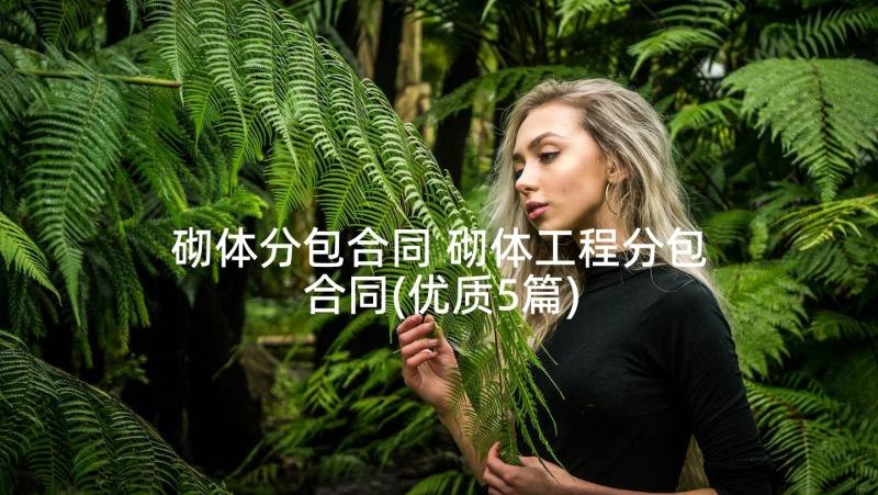 砌体分包合同 砌体工程分包合同(优质5篇)