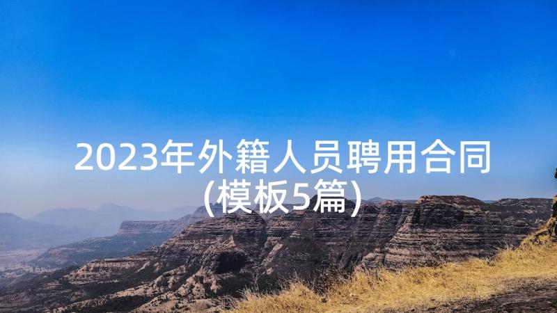 2023年外籍人员聘用合同(模板5篇)