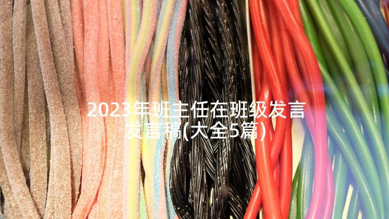 2023年班主任在班级发言发言稿(大全5篇)