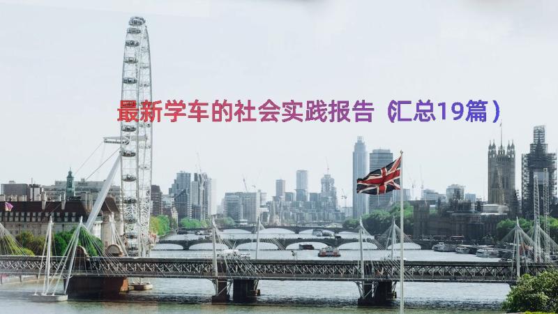 最新学车的社会实践报告（汇总19篇）