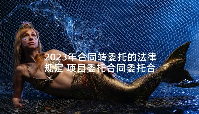 2023年合同转委托的法律规定 项目委托合同委托合同(通用7篇)