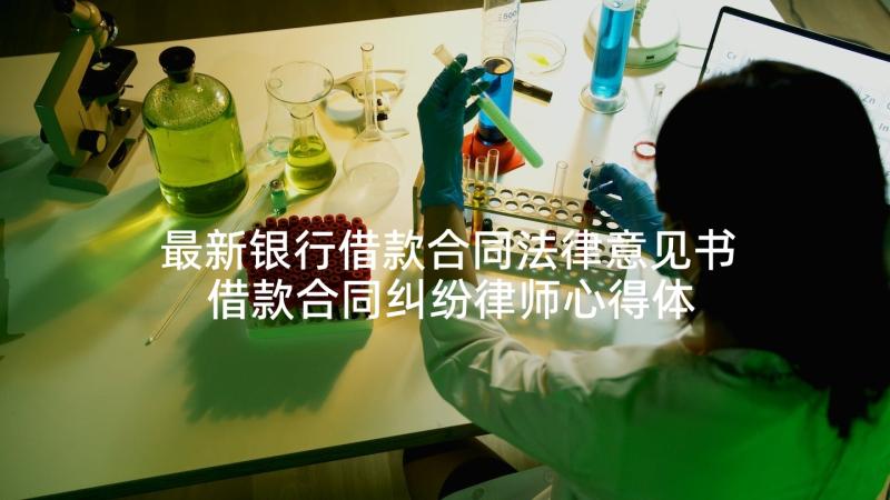 最新银行借款合同法律意见书 借款合同纠纷律师心得体会(优质7篇)