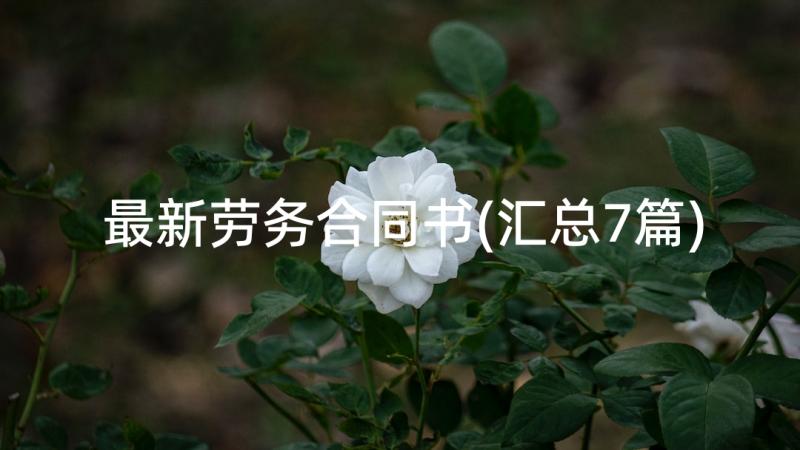 最新劳务合同书(汇总7篇)