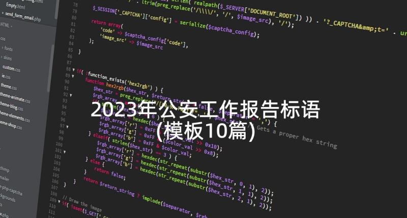 2023年公安工作报告标语(模板10篇)