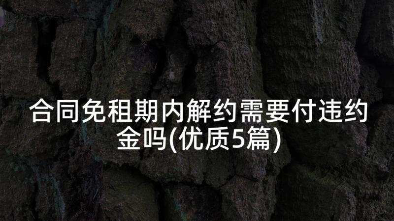 合同免租期内解约需要付违约金吗(优质5篇)