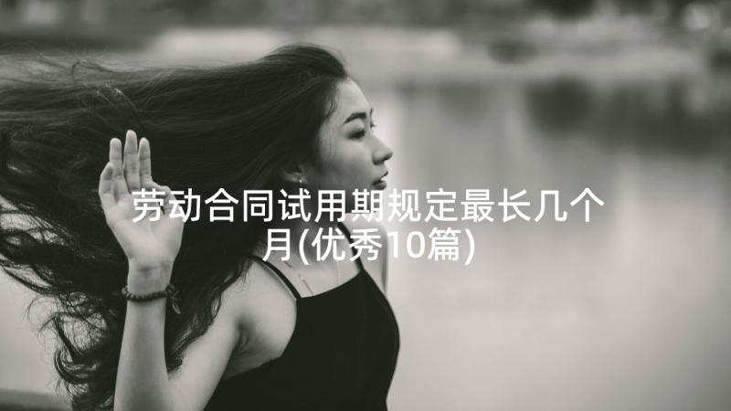 劳动合同试用期规定最长几个月(优秀10篇)