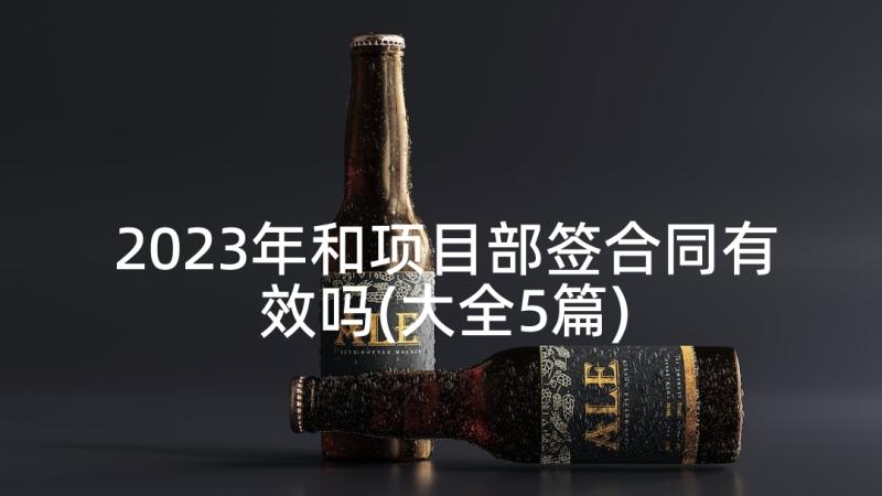 2023年和项目部签合同有效吗(大全5篇)