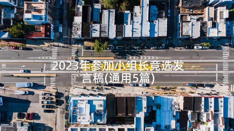 2023年参加小组长竞选发言稿(通用5篇)