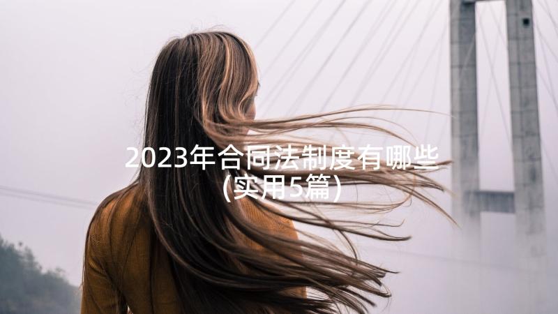 2023年合同法制度有哪些(实用5篇)