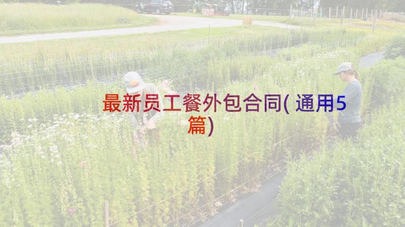 最新员工餐外包合同(通用5篇)