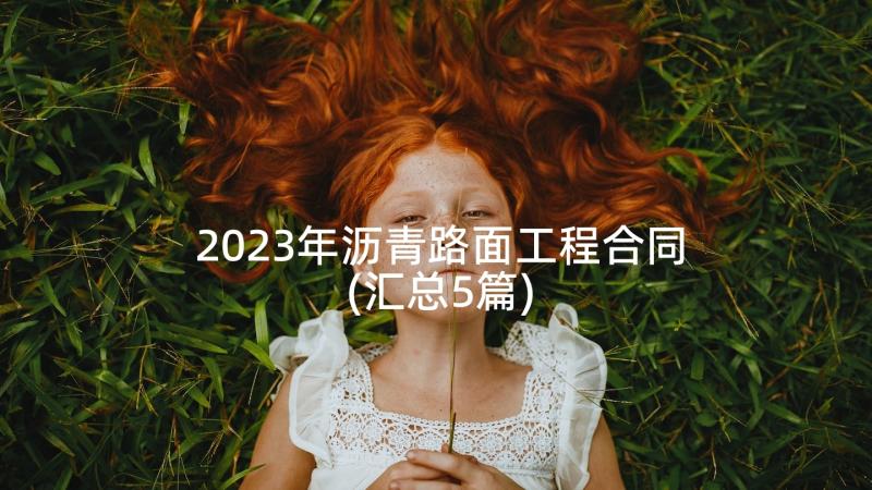 2023年沥青路面工程合同(汇总5篇)