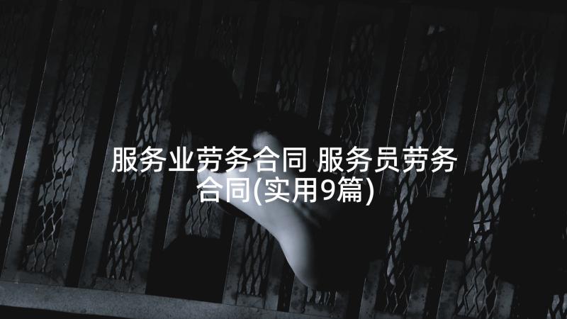 服务业劳务合同 服务员劳务合同(实用9篇)