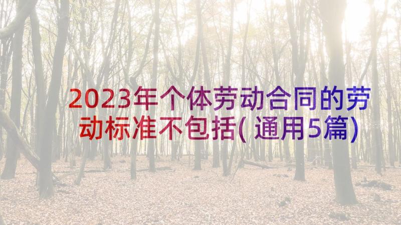 2023年个体劳动合同的劳动标准不包括(通用5篇)