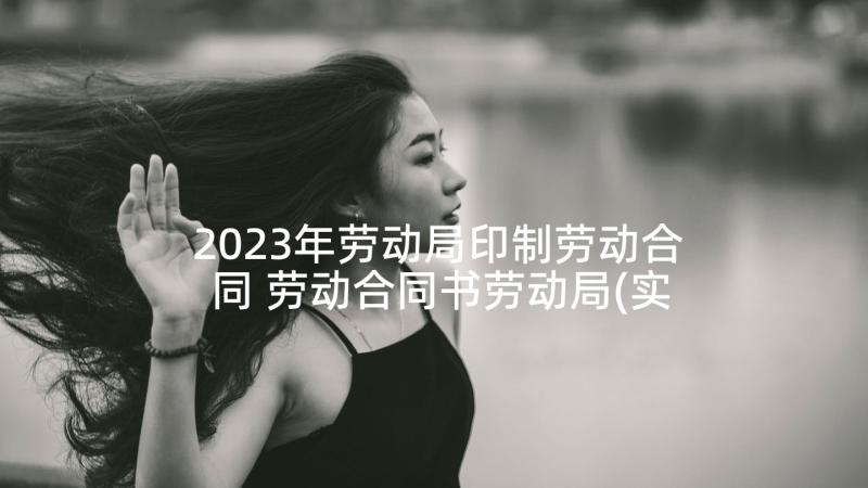 2023年劳动局印制劳动合同 劳动合同书劳动局(实用8篇)