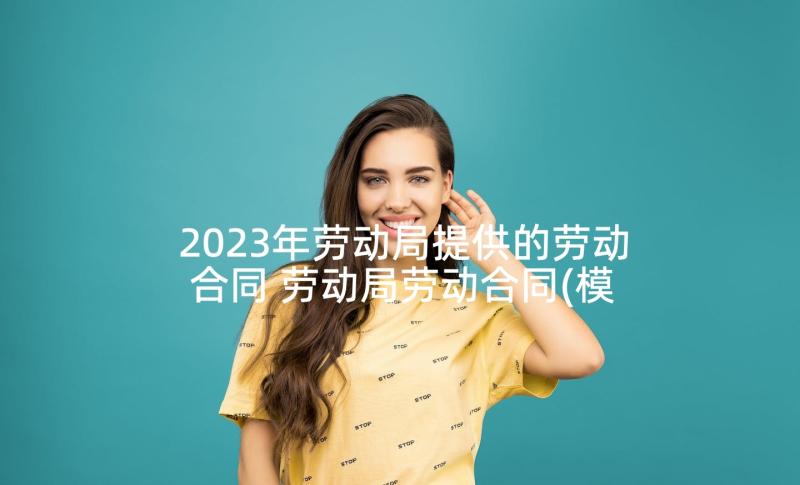 2023年劳动局提供的劳动合同 劳动局劳动合同(模板5篇)